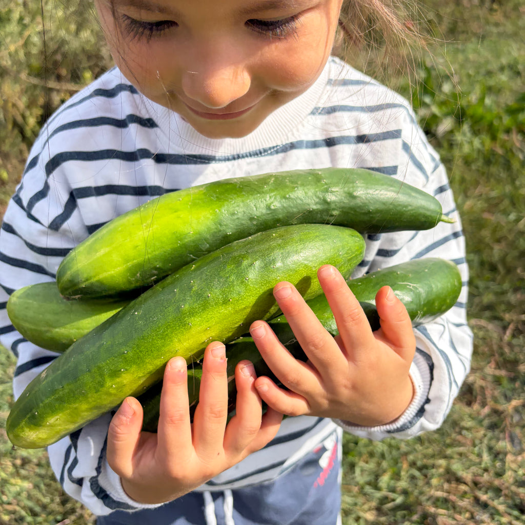Semillas Pepino Tokio Green