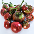 Semillas Tomate Black from tula