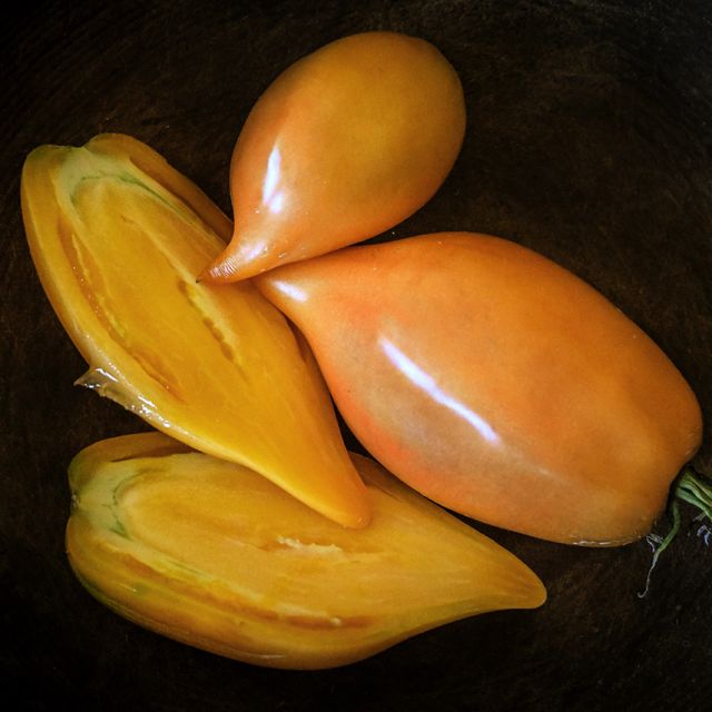 Semillas Tomate Buratino o Pinocchio