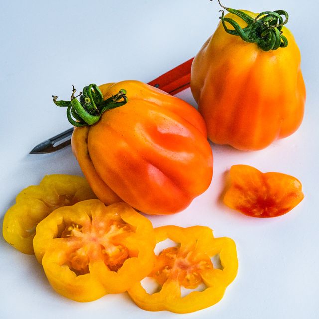 Semillas Tomate California Tulip