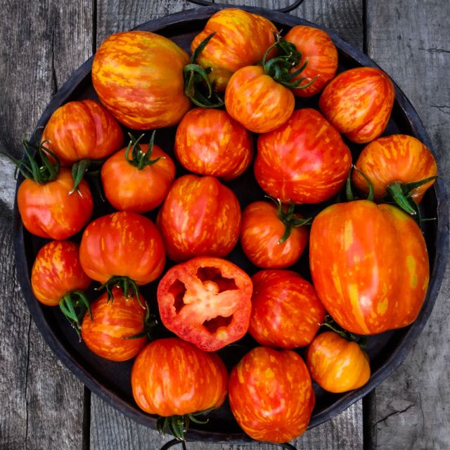 Semillas Tomate Get Stuffed