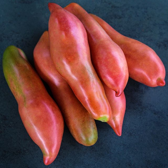 Semillas Tomate Pink Fang