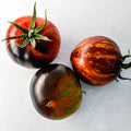 Semillas Tomate queen of the night