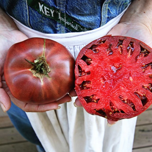 Semilla Tomate cherokee purple