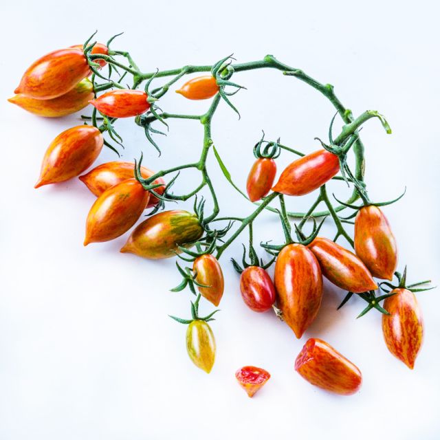 Semillas Tomate pink tiger