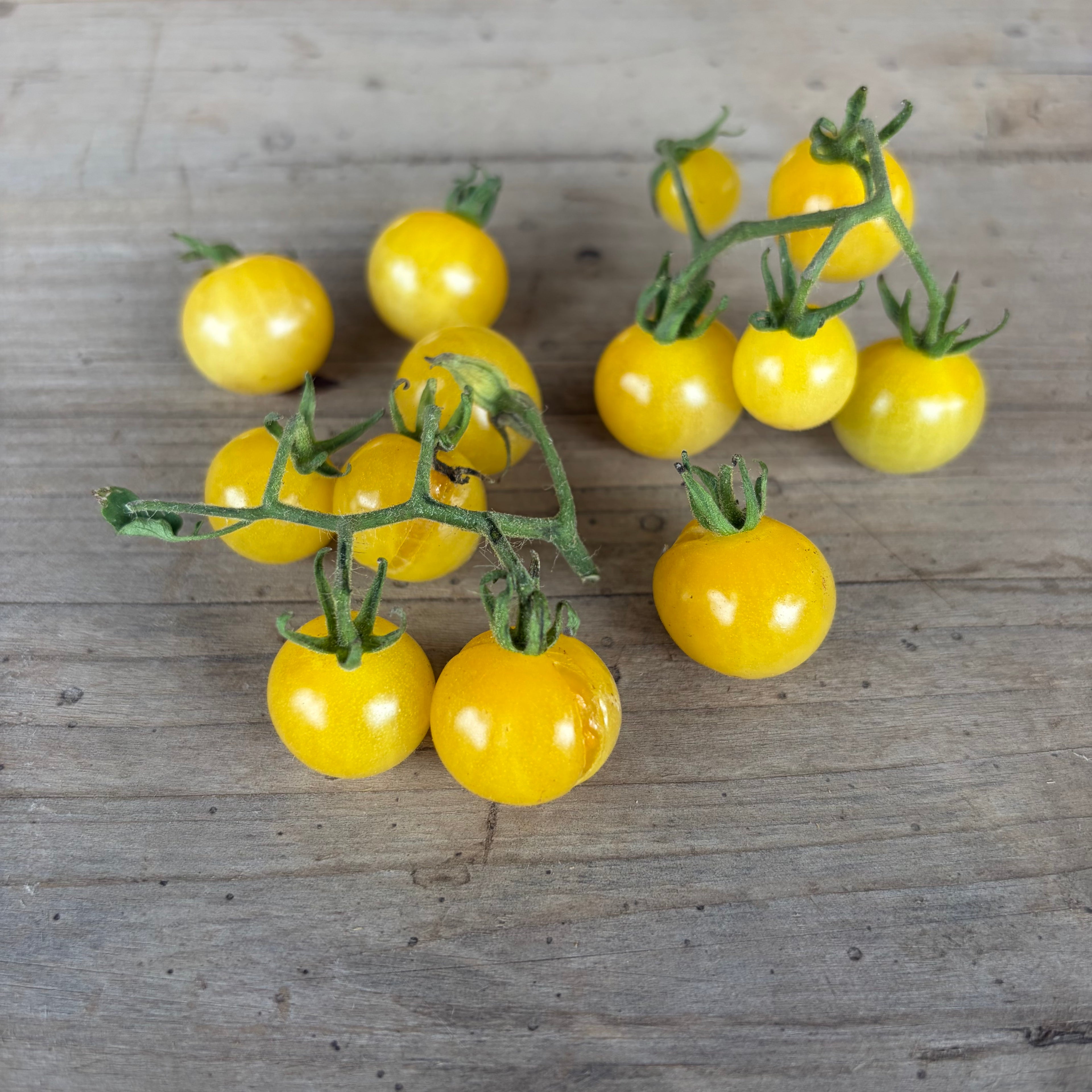 Semillas Tomate White Currant